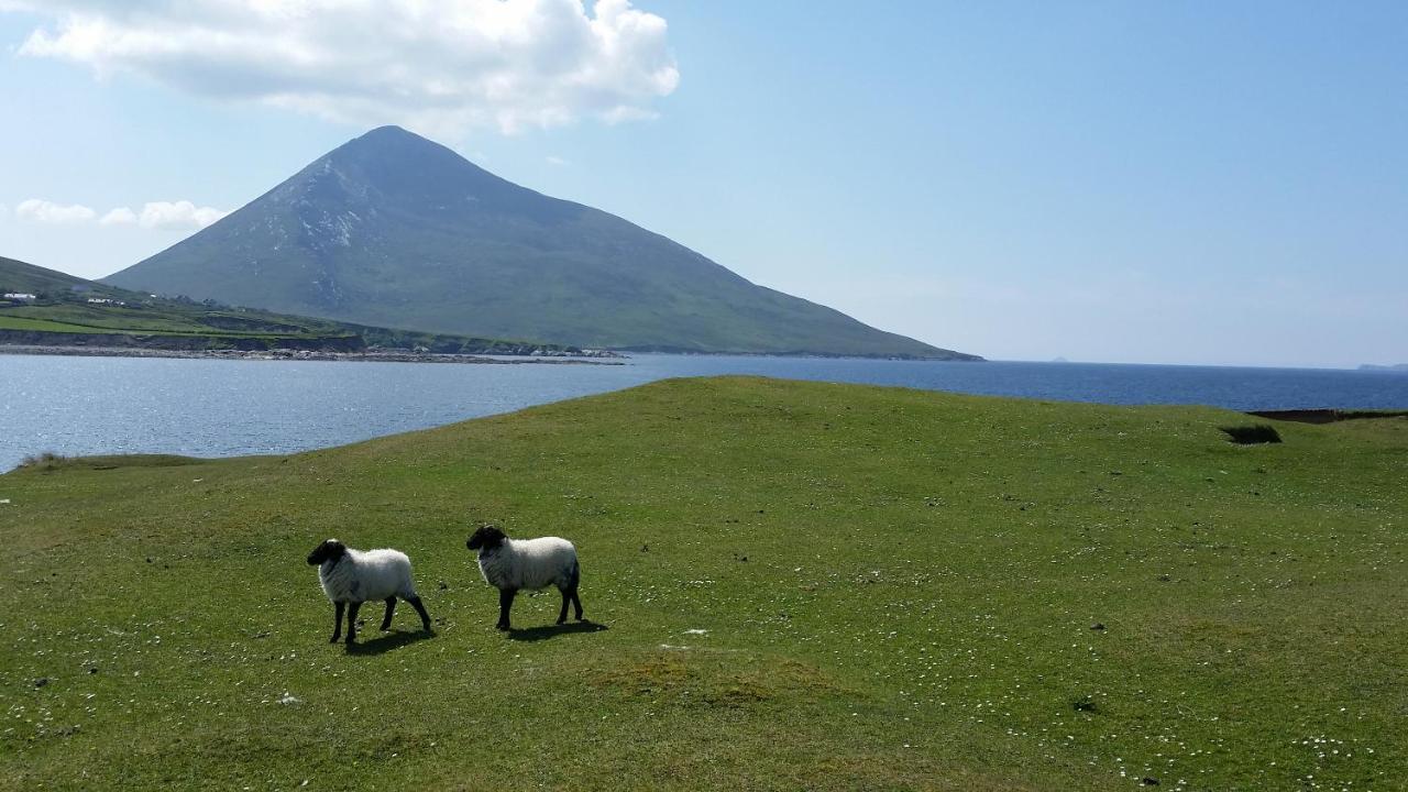 Valley 山谷酒吧旅馆旅舍 外观 照片
